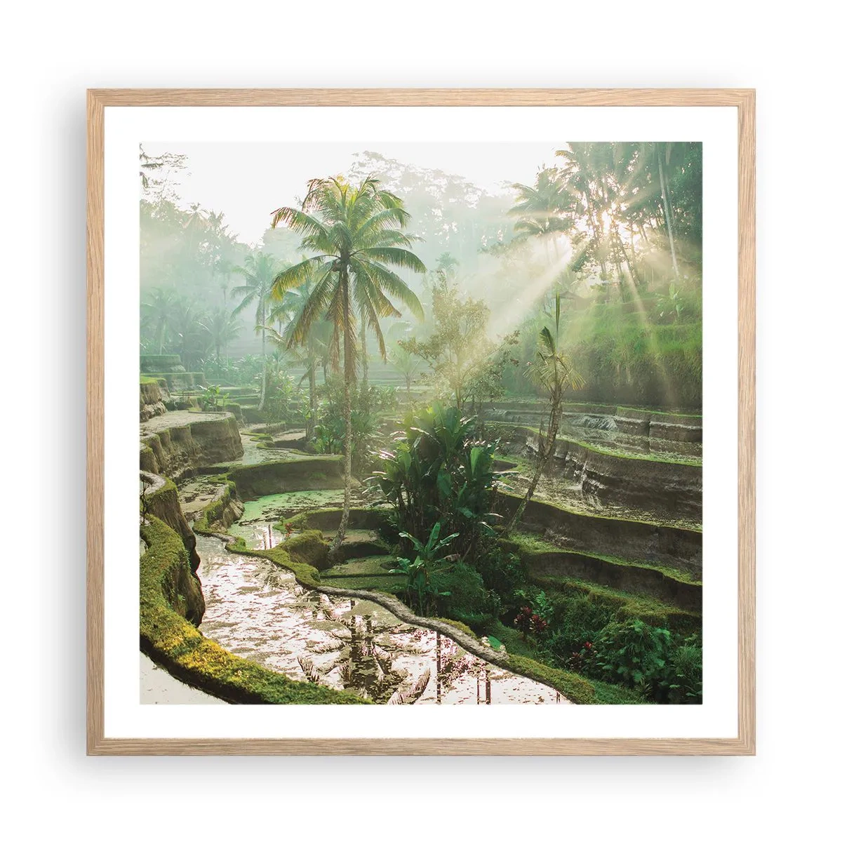 Een poster in een licht eiken lijst - Opgroeien in de zon - 60x60 cm