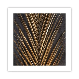 Poster - Het goud van de tropen - 40x40 cm