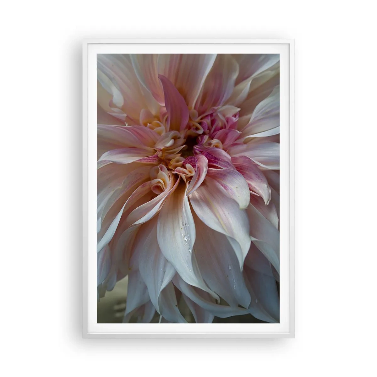 Poster in een witte lijst - Bloeiende frisheid - 70x100 cm