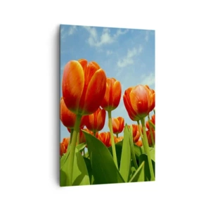 Schilderen op canvas - Afgezien van de blauwe lucht hebben ze niets nodig in hun leven - 80x120 cm