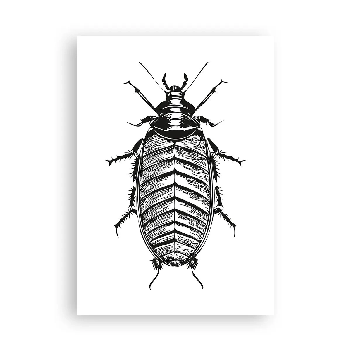 Poster - Wat een exemplaar! - 70x100 cm