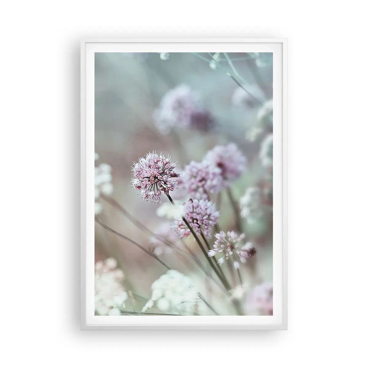 Poster in een witte lijst - Zoete filigrane kruiden - 70x100 cm