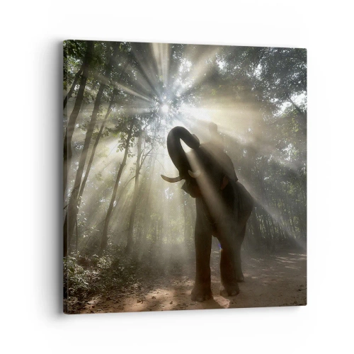 Schilderen op canvas - Onder de gelukkige ster - 40x40 cm