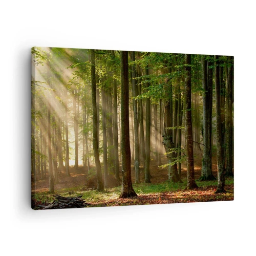 Schilderen op canvas - Zonnestralen die door de bomen in het bos heen dringen - 70x50cm - Stralend op een lentemorgen - Moderne wanddecoratie voor woonkamer en slaapkamer ARTTOR