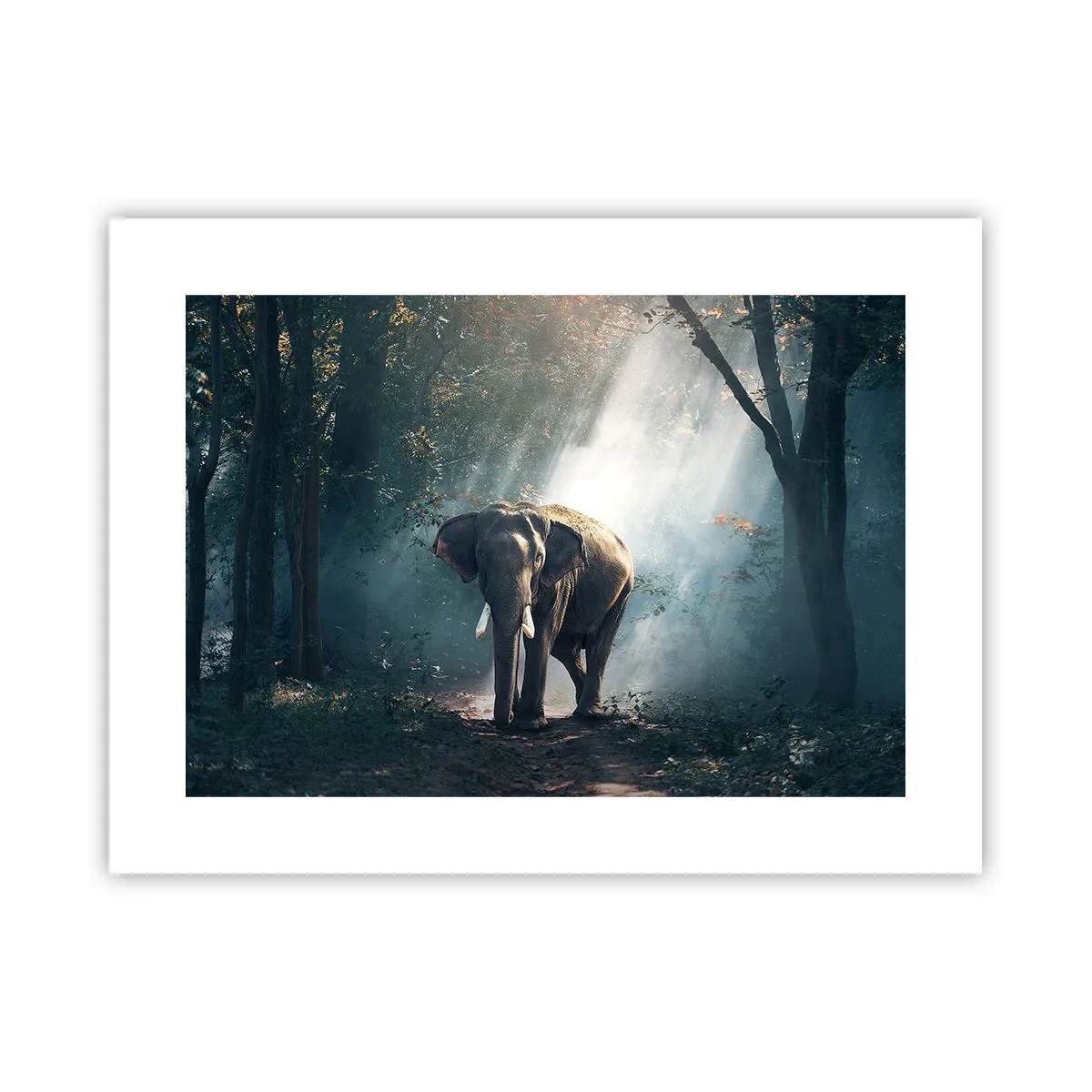 Poster - Een ontspannen wandeling - 40x30 cm