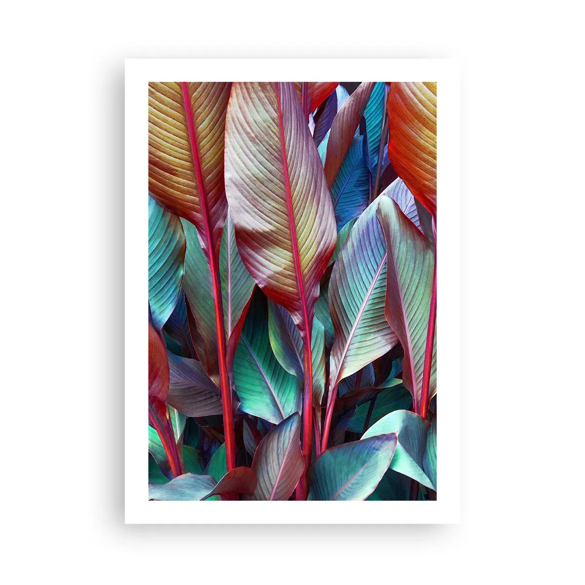 Poster - Een kleurrijk struikgewas - 50x70 cm
