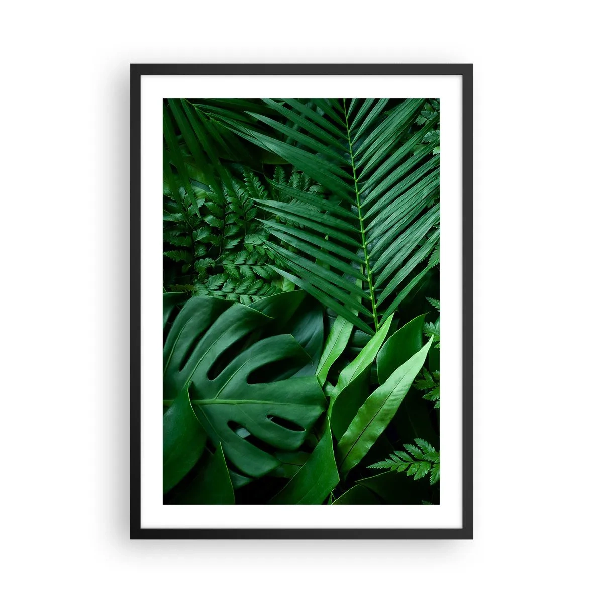 Poster in een zwarte lijst - Groene varen- en palmbladeren creëren een tropisch patroon - 50x70cm - Ineengedoken in het groen - Moderne wanddecoratie voor woonkamer en slaapkamer ARTTOR