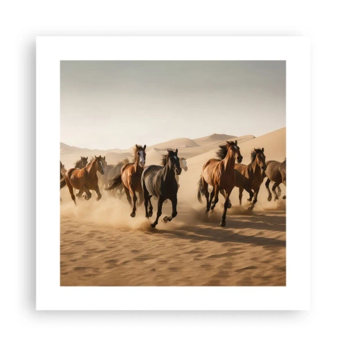 Poster - Vrij als de wind - 40x40 cm