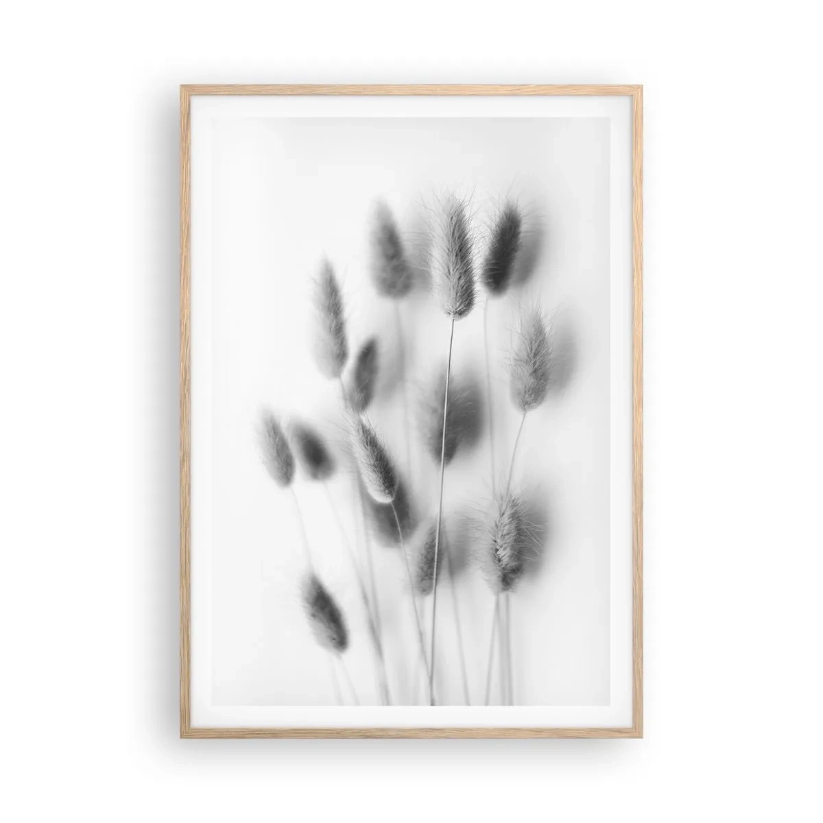 Een poster in een licht eiken lijst - Haar luchtigheid gras - 70x100 cm