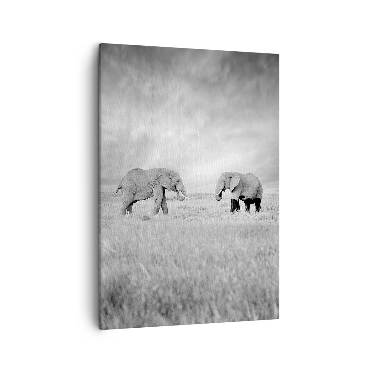 Schilderen op canvas - Grijs is mooi - 50x70 cm