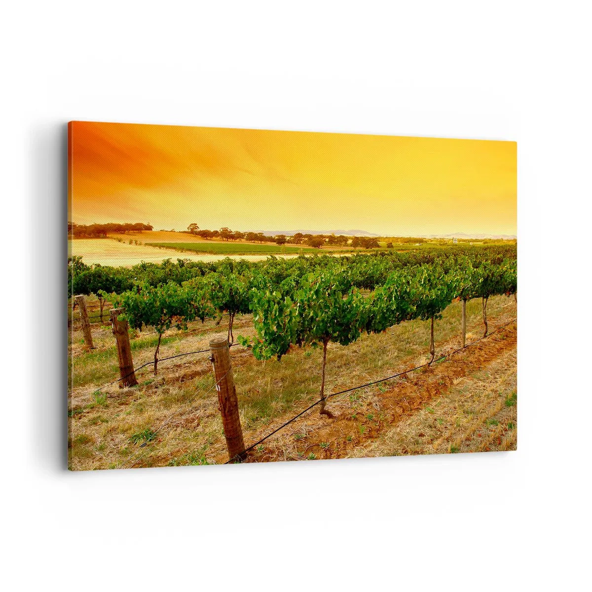 Schilderen op canvas - Neem een drankje van de zon - 100x70 cm