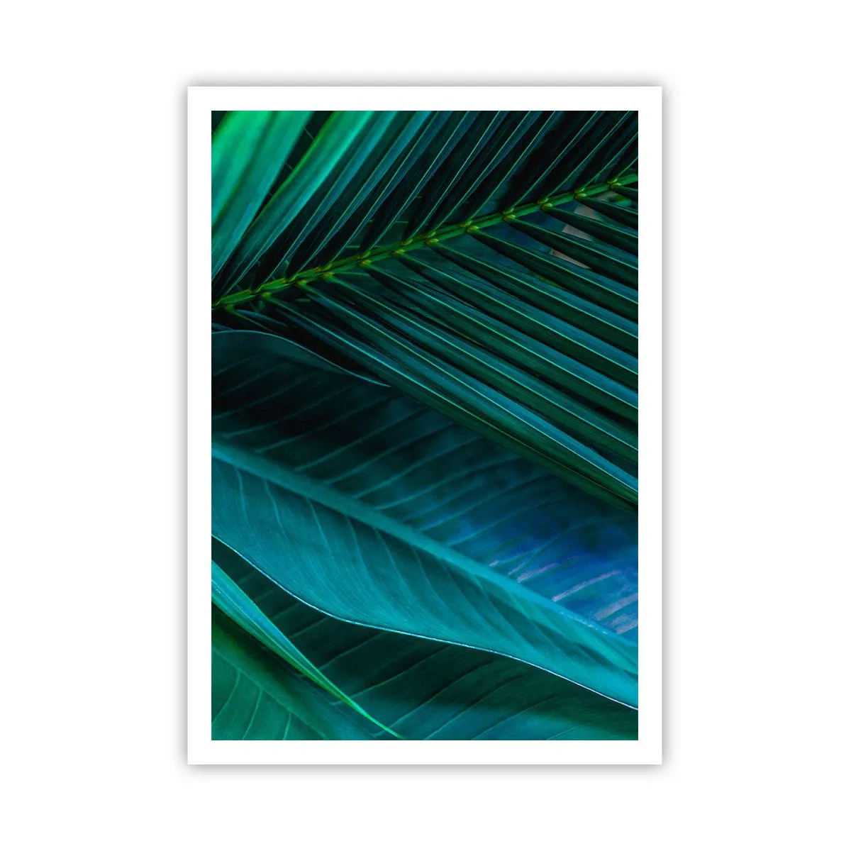 Poster - De anatomie van groen - 70x100 cm