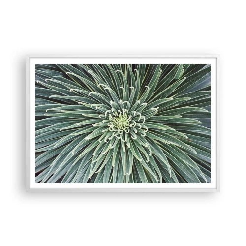 Poster in een witte lijst - Een ster is geboren - 100x70 cm