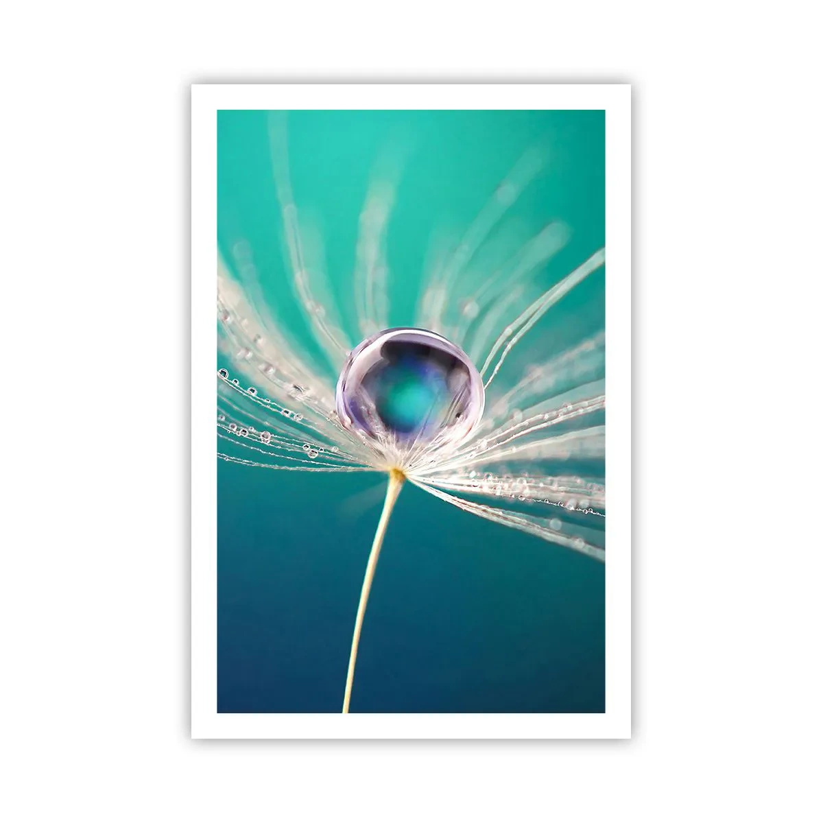 Poster - Mystiek moment - 61x91 cm