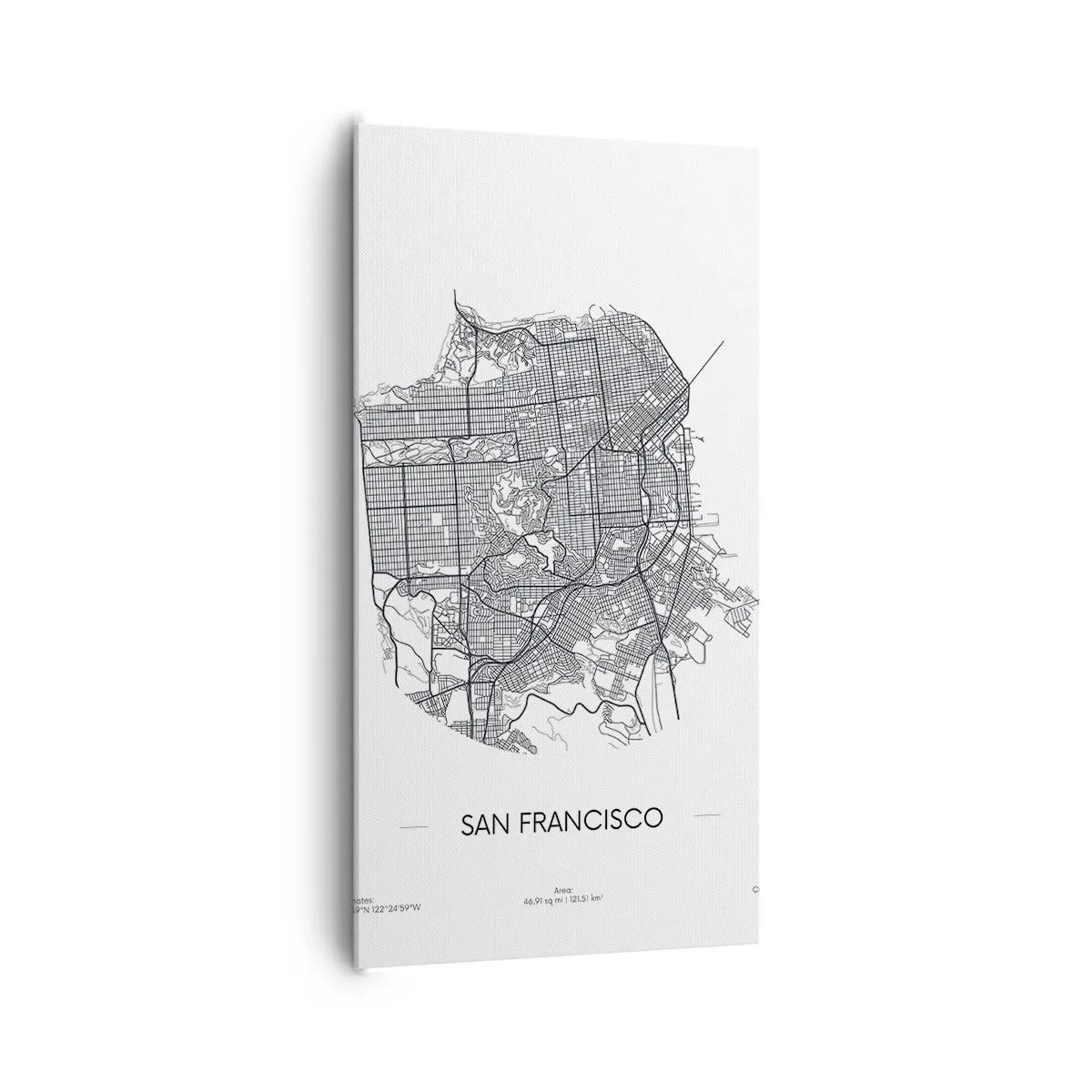 Schilderen op canvas - Anatomie van San Francisco - 65x120 cm