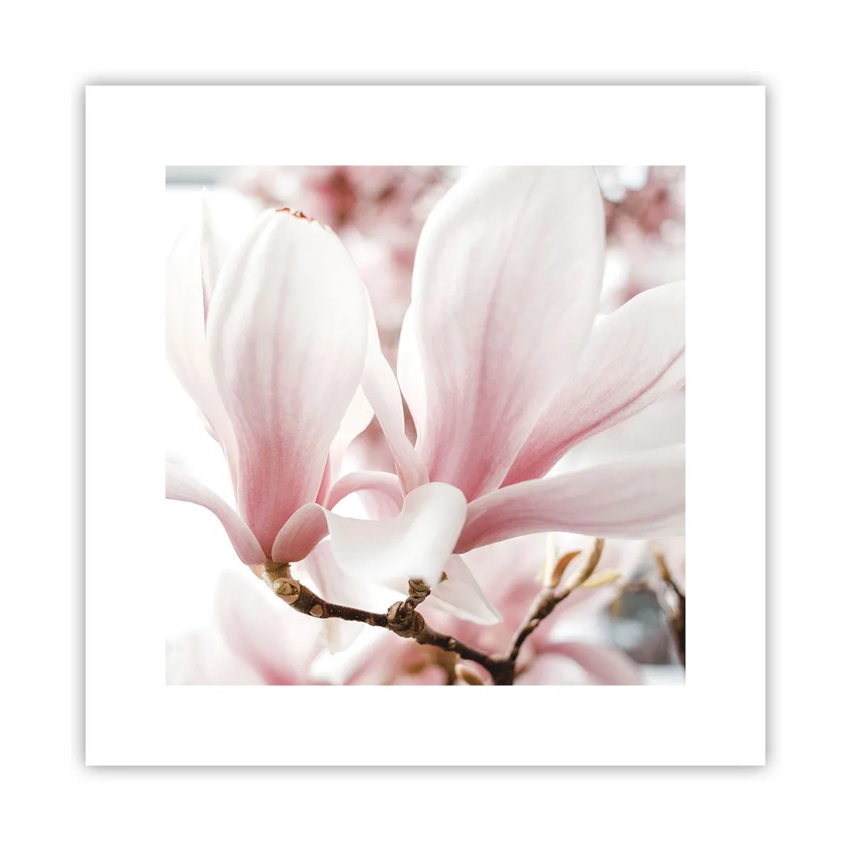 Poster - Een overvloed aan tederheid - 30x30 cm