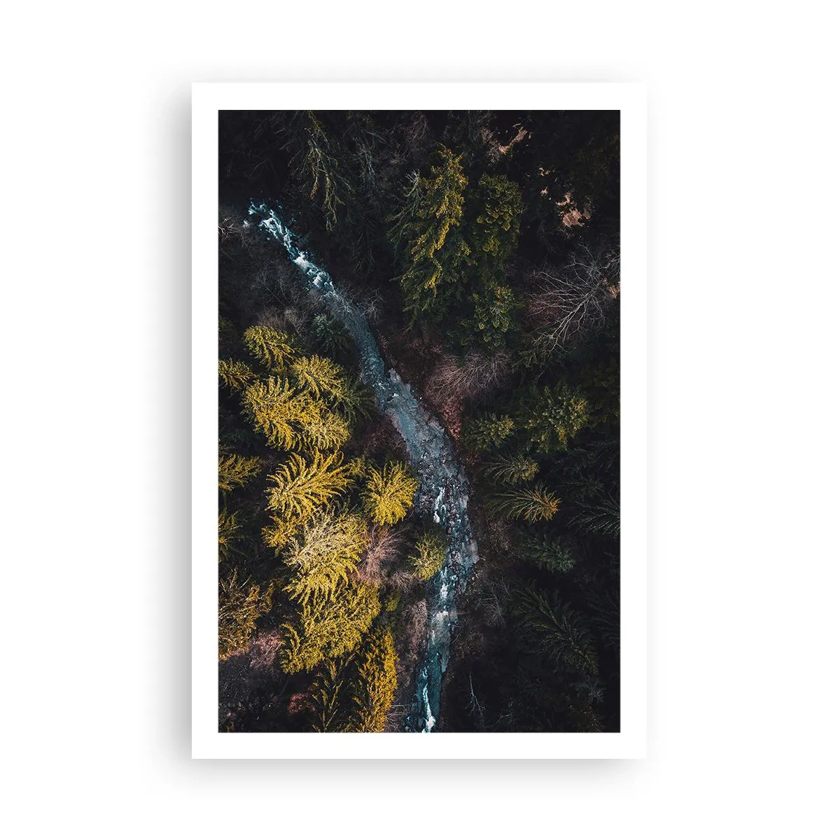 Poster - Snel, sneller en sneller - 61x91 cm