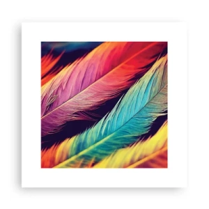 Poster - Gevederde regenboog - 30x30 cm