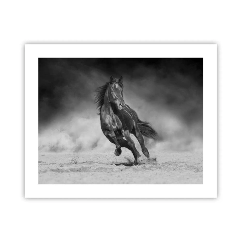 Poster - De emir zelf waardig - 50x40 cm