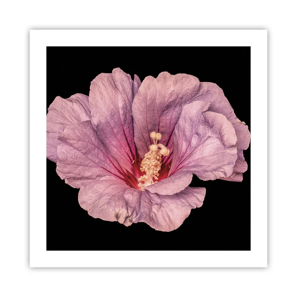 Poster - Recht in het hart - 50x50 cm