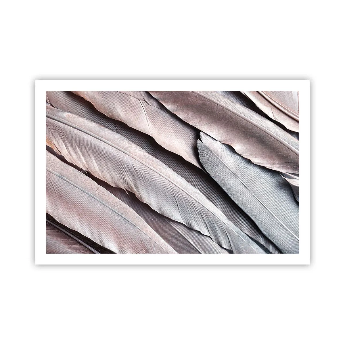 Poster - In roze zilver - 91x61 cm