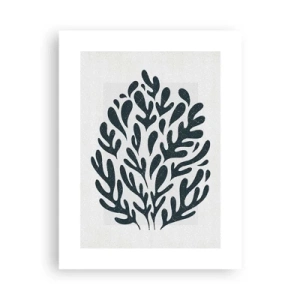 Poster - Vormen van de natuur - 30x40 cm