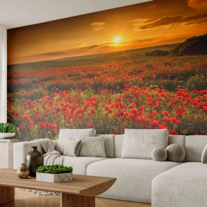 Fotobehang Premium Sand - Tussen de golven van ruisende weiden, tussen de bloemen van de vloed - Landschap, Bloemen, Klaprozen - 450x315 cm