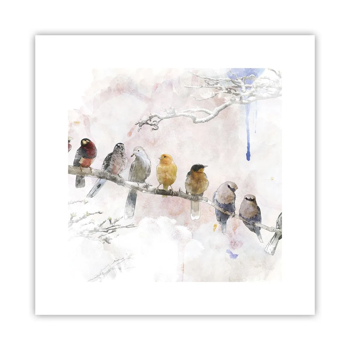 Poster - Gevleugelde ontmoeting - 30x30 cm