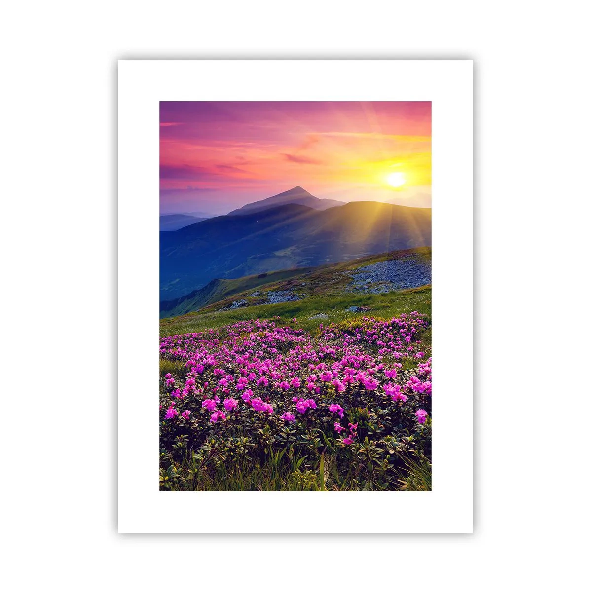 Poster - … En eromheen ruikt het naar bergdennen en de geur van kruiden - 30x40 cm