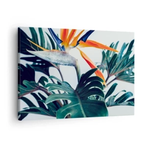 Schilderen op canvas - Strelitzia-bloem omgeven door bladeren in fel licht - 70x50cm - Vogelstruik - Moderne wanddecoratie voor woonkamer en slaapkamer ARTTOR