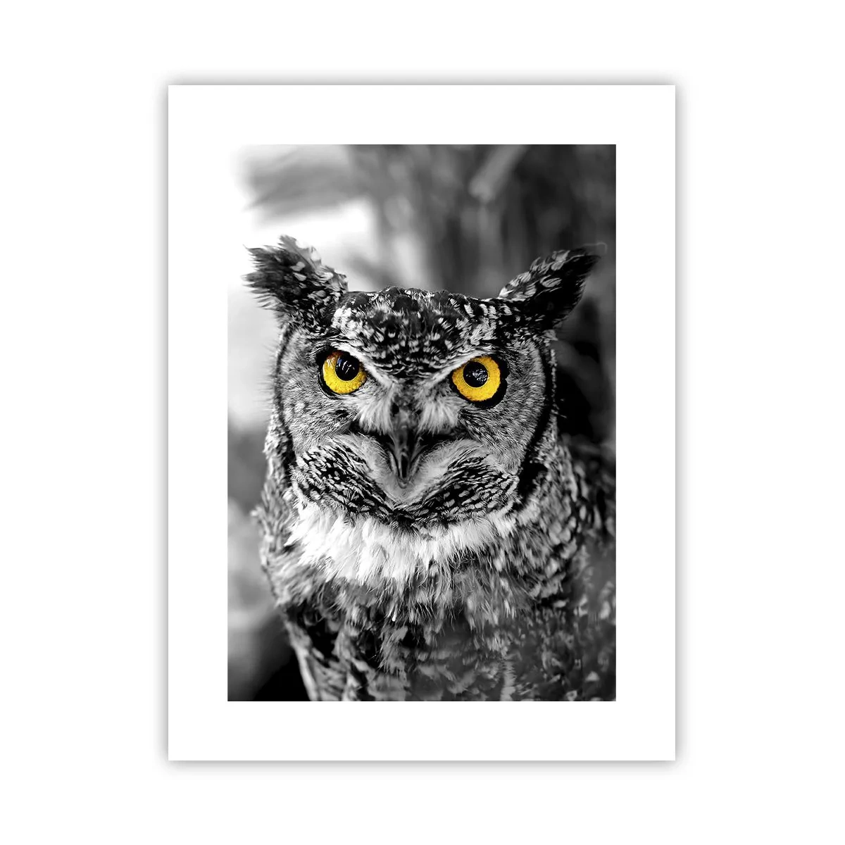 Poster - Niets zal zich verbergen - 30x40 cm