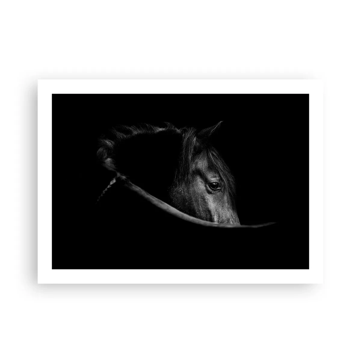 Poster - Zwarte Prins - 70x50 cm