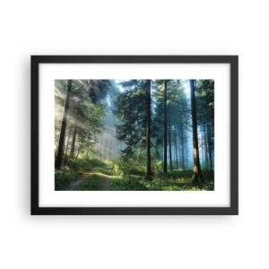 Poster in een zwarte lijst - Stralend in de ochtend - 40x30 cm