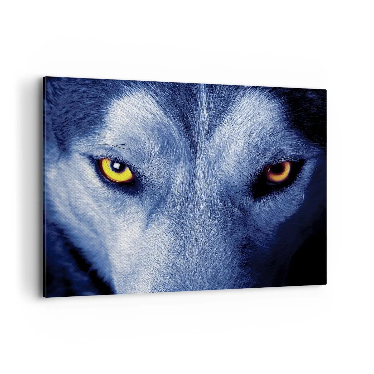 Schilderen op canvas - Betoverende look - 100x70 cm