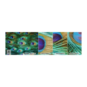 Fotobehang Monster Premium Canvas - Een pauwenooglook - Abstractie, Pauwenveren, Vogelveer - 100x30 cm