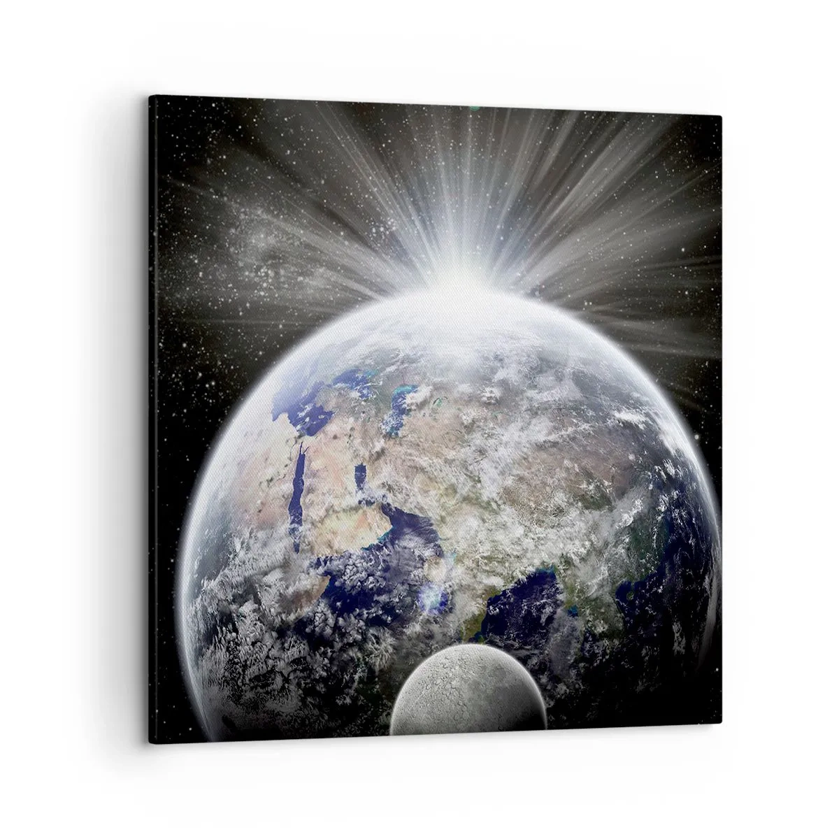 Schilderen op canvas - In volle pracht - 50x50 cm