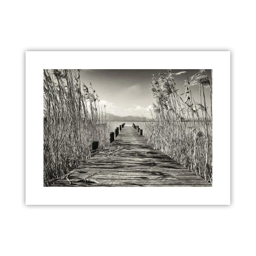 Poster - In de stilte van het gras - 40x30 cm