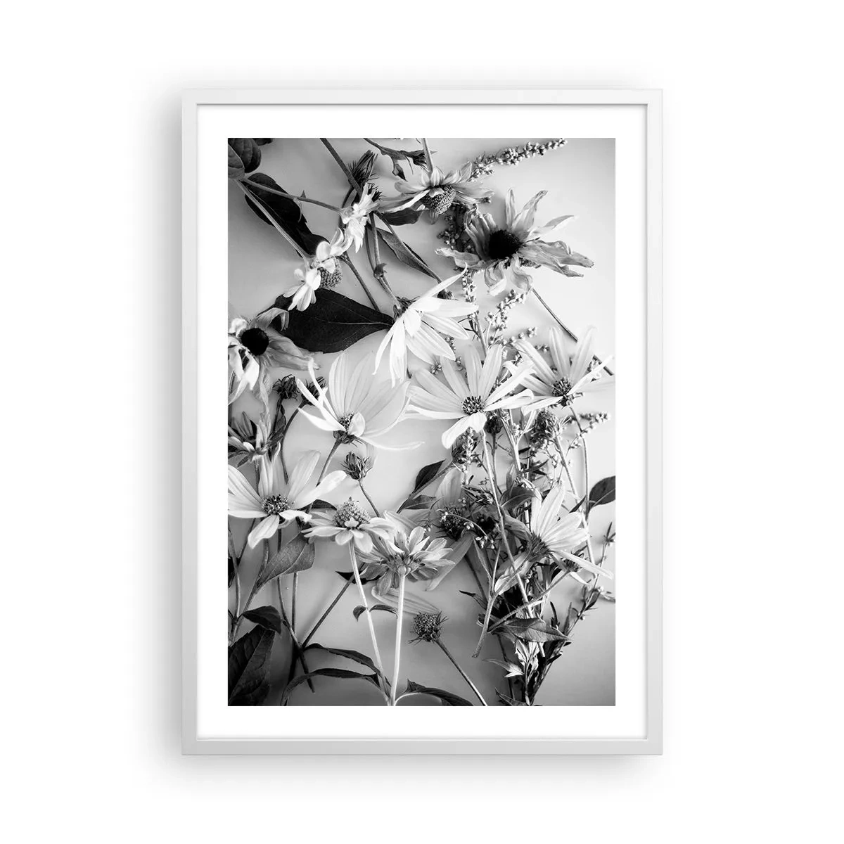 Poster in een witte lijst - Niet-boeket bloemen - 50x70 cm