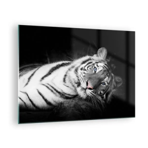 Schilderen op glas - Een witte tijger met blauwe ogen in een zwart-witte setting - 70x50cm - Wildheid en vrede - Moderne wanddecoratie voor woonkamer en slaapkamer ARTTOR