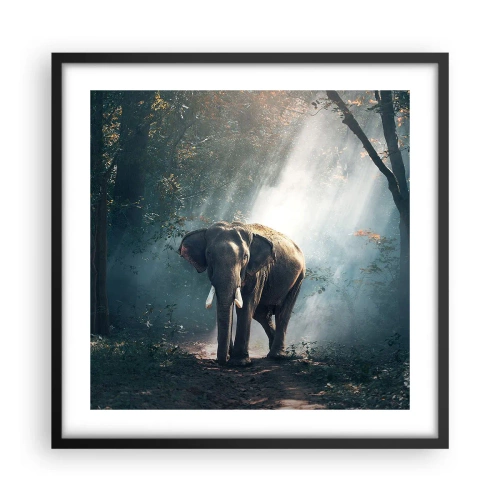 Poster in een zwarte lijst - Een ontspannen wandeling - 50x50 cm