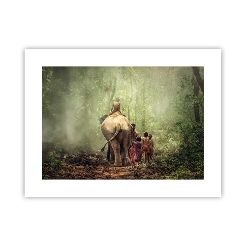 Poster - Nieuw Jungle Boek - 40x30 cm