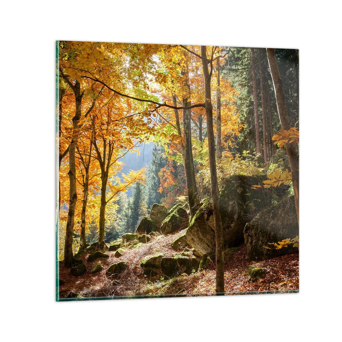 Schilderen op glas - Tijd om te ontspannen - 60x60 cm