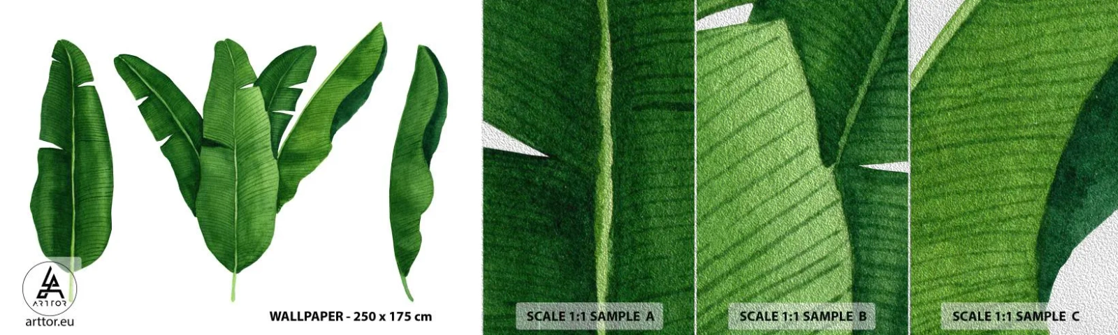 Fotobehang Monster Premium Sand - Groene symmetrie - Bananenblad, Tropisch, Botanische stijl - 100x30 cm