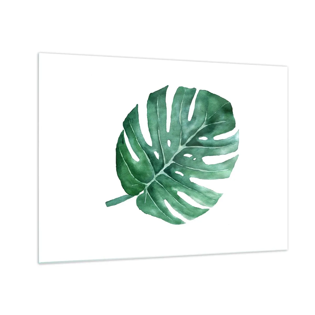 Schilderen op glas - Groen monsterablad op een witte achtergrond - 70x50cm - Groen concept - Moderne wanddecoratie voor woonkamer en slaapkamer ARTTOR