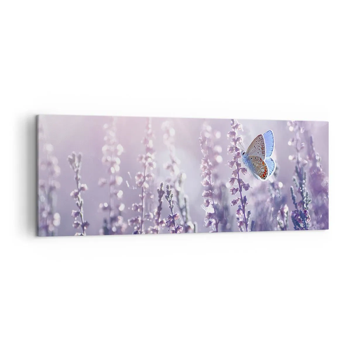 Schilderen op canvas - Vlinder kus - 140x50 cm