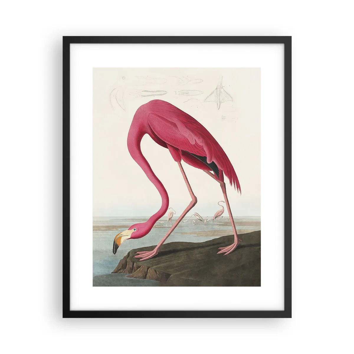 Poster in een zwarte lijst - Geweldige creatie - 40x50 cm