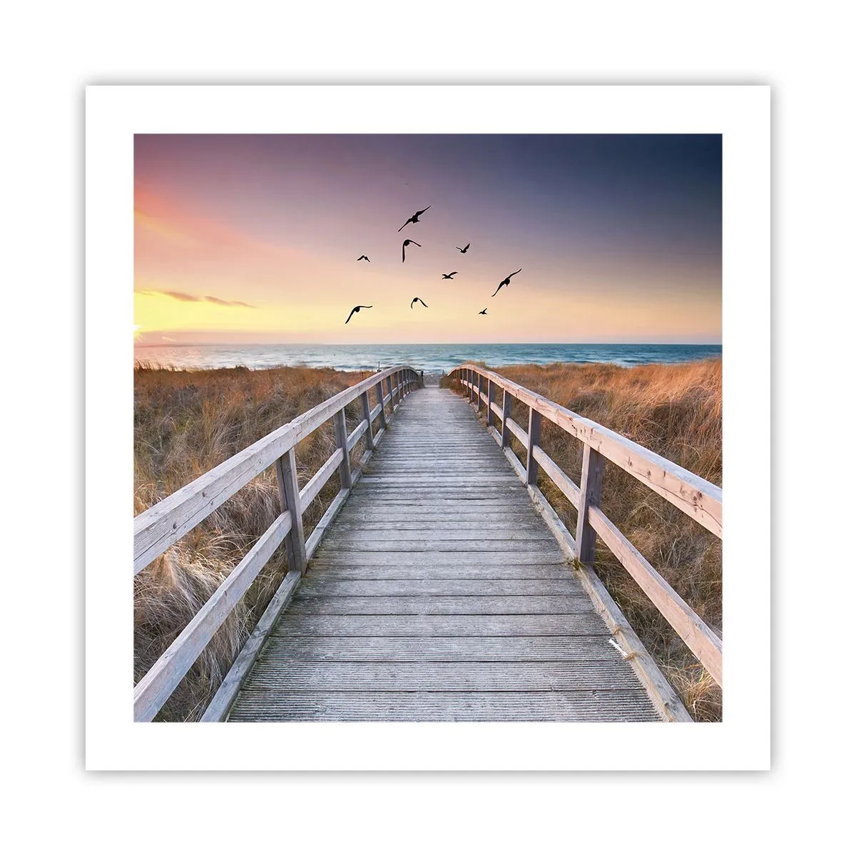 Poster - De ruimte voor opvliegen - 50x50 cm