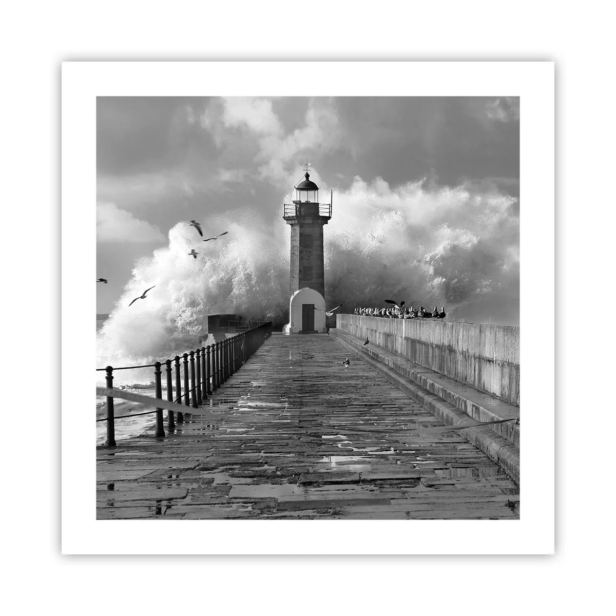 Poster - Onbevreesd - 50x50 cm