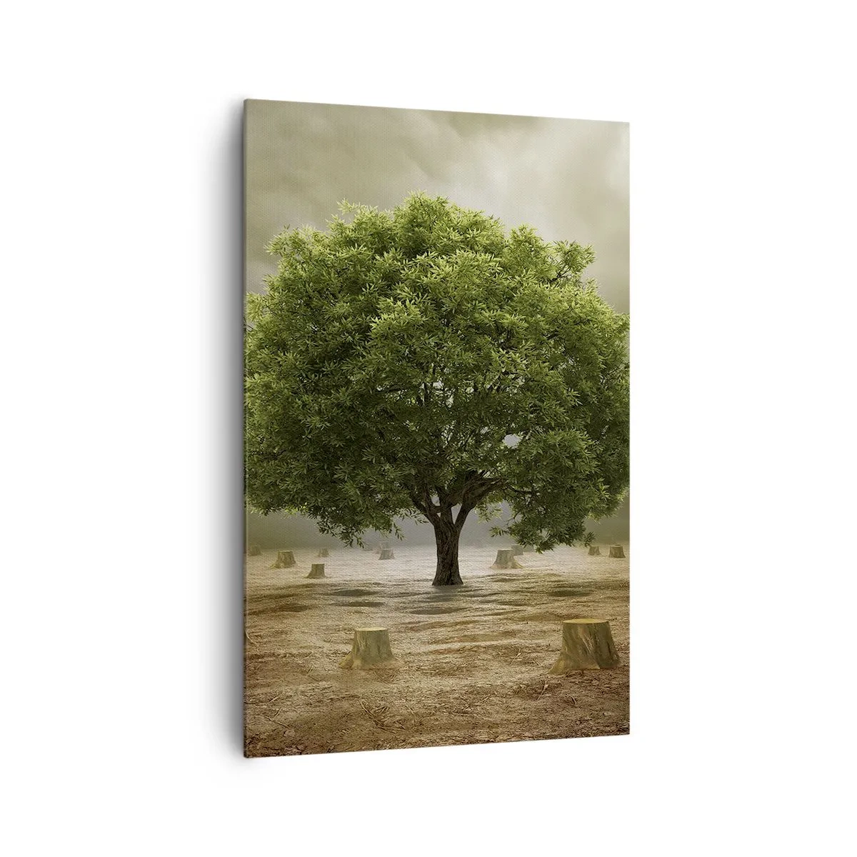 Schilderen op canvas - Alle hoop - 80x120 cm