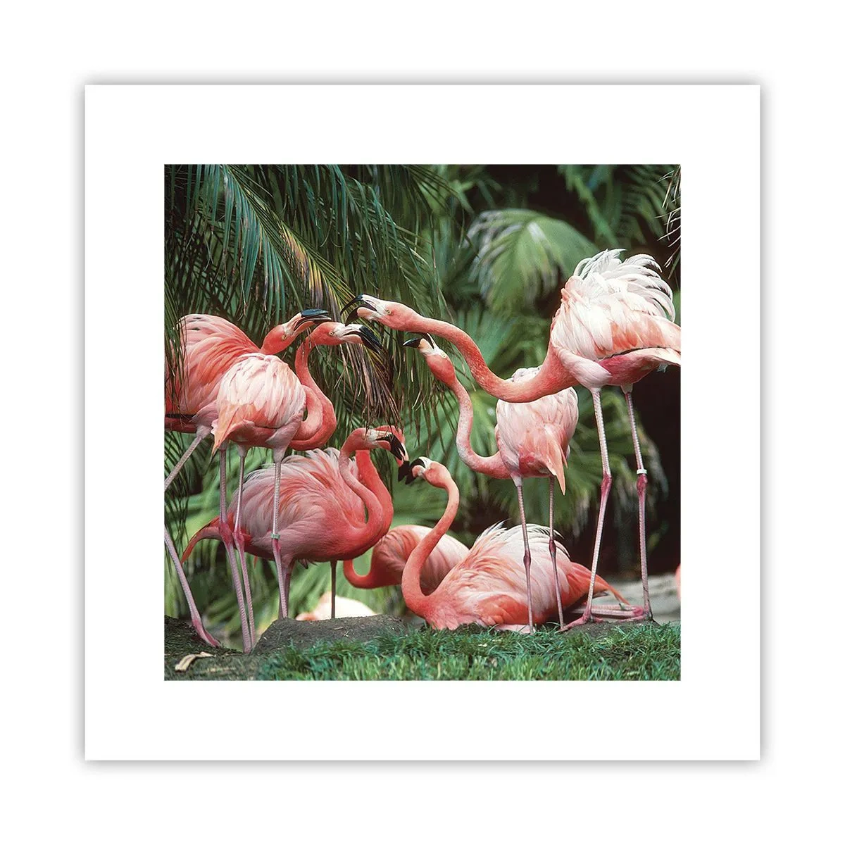 Poster - Middag roddels - 30x30 cm